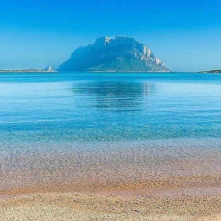 Апартаменты Stella Marys Nord Ольбия Экстерьер фото