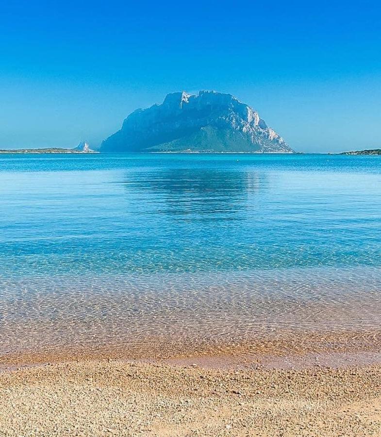 Апартаменты Stella Marys Nord Ольбия Экстерьер фото